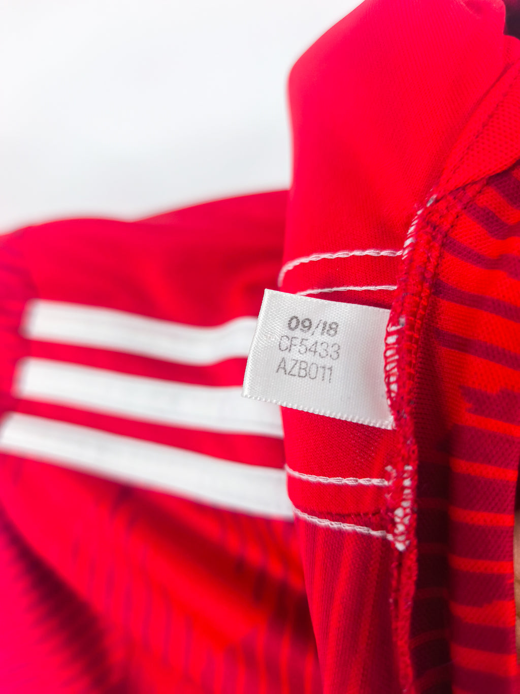 Camisola Oficial Bayern Munchen 2018/19 | Robben #10