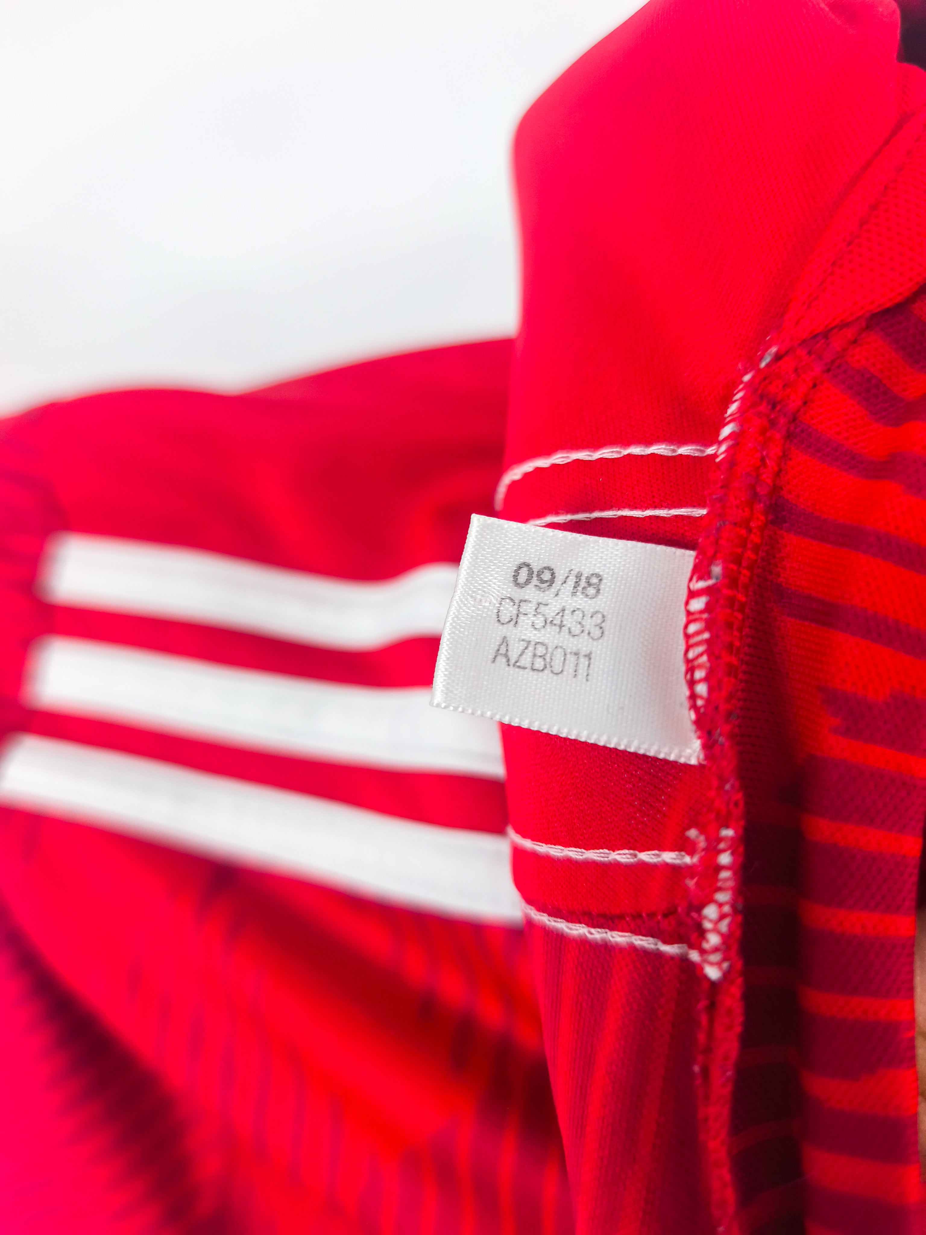 Camisola Oficial Bayern Munchen 2018/19 | Robben #10