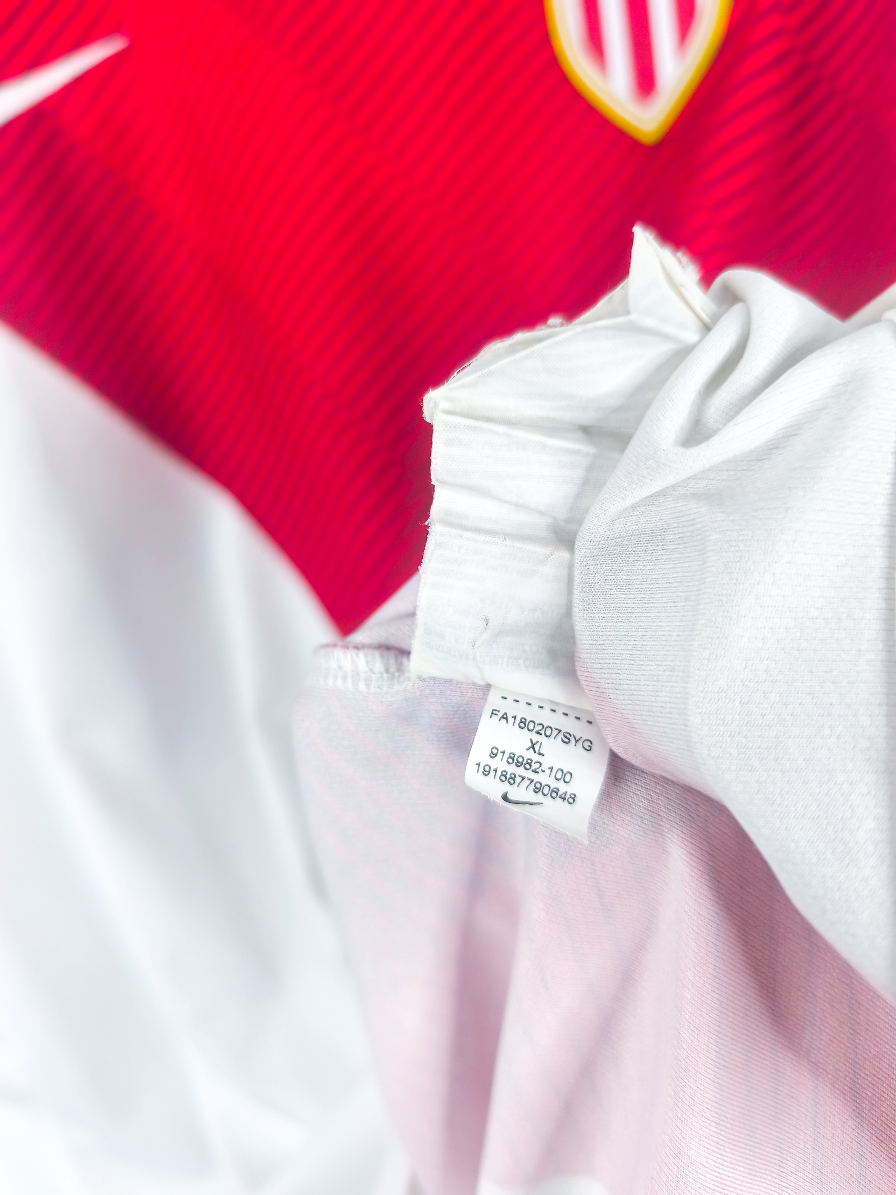 AS Monaco 2018/19 | Falcao #9